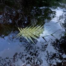 Fotografia da artista Nathalie Ventura, que integra a exposição “Dar nome ao futuro”. A imagem mostra uma folha trançada flutuando sobre a superfície de um rio, refletindo o céu e a vegetação ao redor. A obra transmite serenidade e conexão com a natureza.