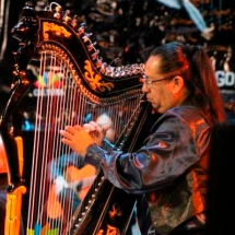 O musicista Walter Morato toca uma harpa ornamentada durante apresentação musical. Em perfil, com cabelos longos presos e traje escuro, ele dedilha as cordas do instrumento, iluminado por luzes em tons quentes. O fundo desfocado reforça a atmosfera de concerto e destaca os detalhes da harpa.