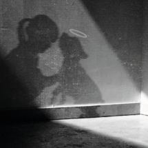 Fotografia em preto e branco mostra as sombras projetadas de uma menina e de um cachorro sobre uma parede. A menina inclina a cabeça em direção ao animal, que aparece com um pequeno halo luminoso sobre a cabeça. Um feixe de luz diagonal ilumina parte da parede e do piso, criando forte contraste entre luz e sombra e uma atmosfera contemplativa.