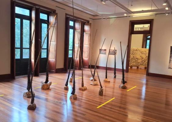 A imagem mostra a galeria de exposições com piso de madeira, janelas amplas e iluminação direcionada. No centro do espaço, uma instalação artística composta por troncos e hastes verticais apoiadas sobre pedras ocupa a sala, criando um diálogo entre natureza e arquitetura. Obras bidimensionais nas paredes complementam a mostra, enquanto a disposição do ambiente reforça o caráter contemplativo e institucional do espaço expositivo.