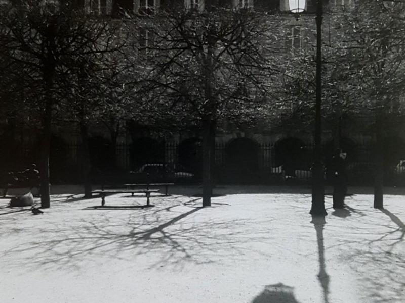 Foto em preto e branco de uma praça vazia em dia nublado, com clima que sugere frio. Árvores sem folhas projetam sombras intricadas no chão claro — que pode ser de pedra clara ou coberto por uma fina camada de neve. Um poste de luz com design curvo aparece à direita e sua sombra espiralada ocupa o primeiro plano. Ao fundo, há construções antigas com telhados inclinados e janelas pequenas, evocando arquitetura europeia. A cena transmite silêncio e contemplação.