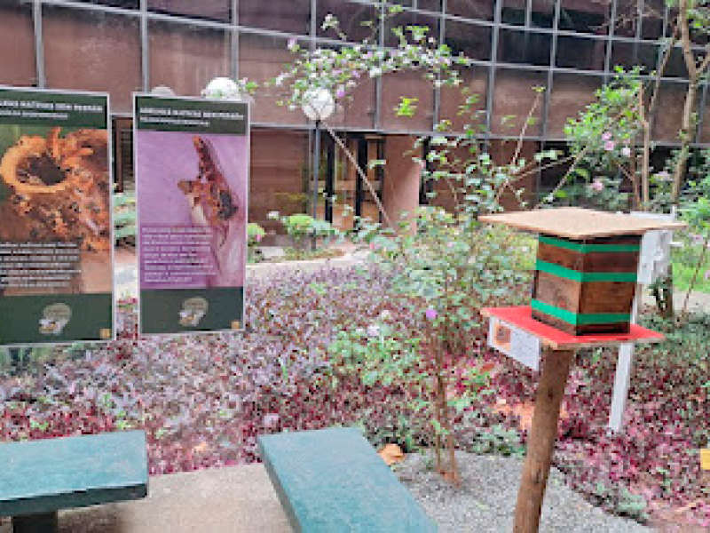 Jardim do CCJF com área verde, bancos e um meliponário de abelhas sem ferrão. À direita, uma pequena caixa de madeira com fitas verdes, apoiada sobre suporte, abriga a colmeia. Ao fundo, placas informativas apresentam conteúdos educativos sobre as abelhas e o meio ambiente. O espaço é cercado por plantas, arbustos e pela fachada do edifício da Justiça Federal com quem o CCJF compartilha o jardim.