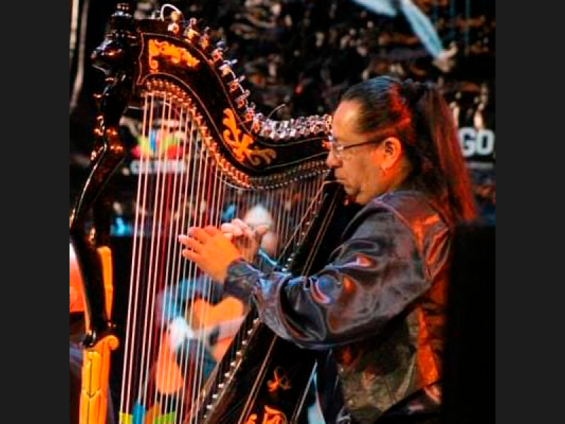 O musicista Walter Morato toca uma harpa ornamentada durante apresentação musical. Em perfil, com cabelos longos presos e traje escuro, ele dedilha as cordas do instrumento, iluminado por luzes em tons quentes. O fundo desfocado reforça a atmosfera de concerto e destaca os detalhes da harpa.