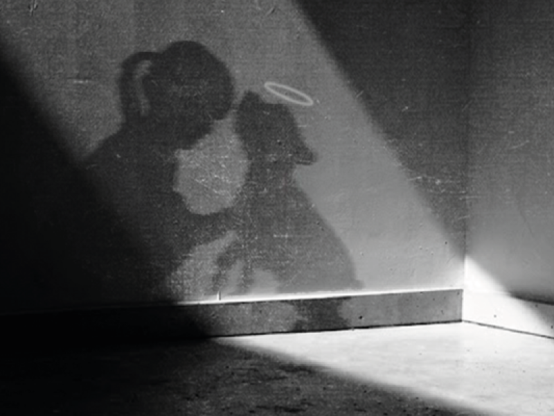 Fotografia em preto e branco mostra as sombras projetadas de uma menina e de um cachorro sobre uma parede. A menina inclina a cabeça em direção ao animal, que aparece com um pequeno halo luminoso sobre a cabeça. Um feixe de luz diagonal ilumina parte da parede e do piso, criando forte contraste entre luz e sombra e uma atmosfera contemplativa.