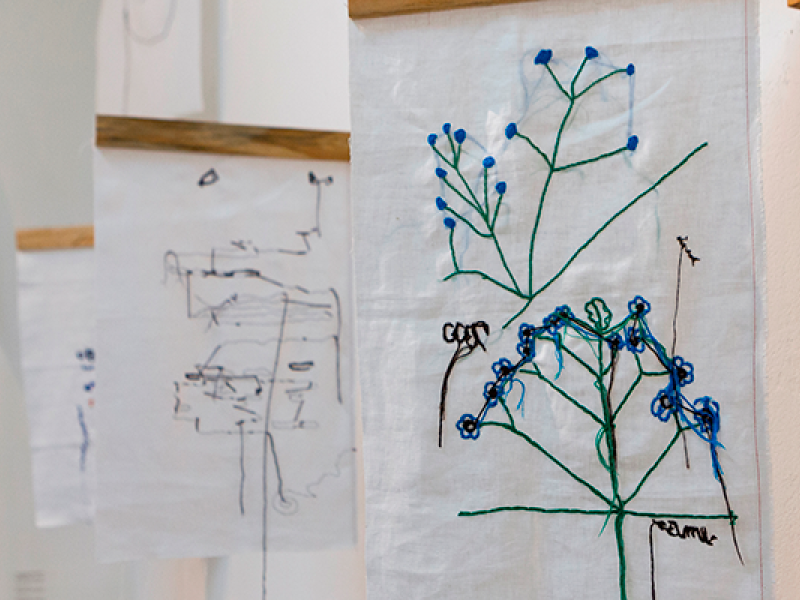 Imagem de referência da exposição Diários de Classe. Em primeiro plano, um tecido branco suspenso traz desenhos bordados de plantas, com hastes verdes e pequenas flores azuis, acompanhados de alguns traços e palavras. Ao fundo, outros tecidos pendurados exibem desenhos e anotações em linhas azuis e pretas.